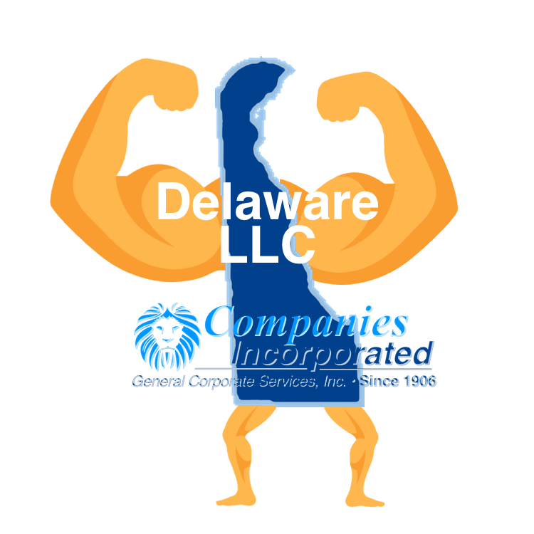 Delaware LLC