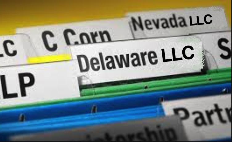 Delaware vs Nevada LLC