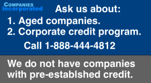 Corporate Credit Builder